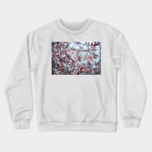 Sakura Cherry Blossoms Springtime Crewneck Sweatshirt